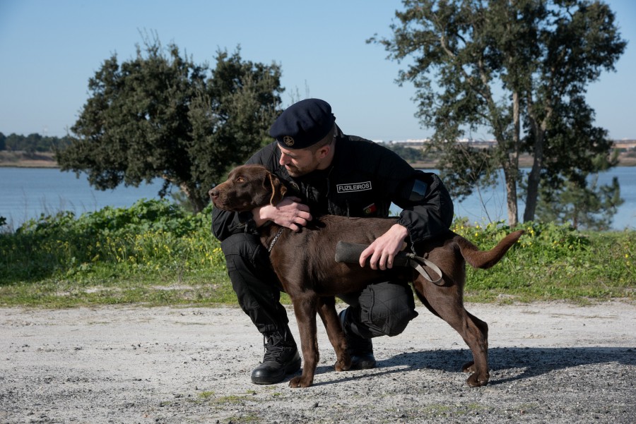 Núcleo Cinotécnico da Marinha integrado na Escola de Fuzileiros no Barreiro Dia do Cão: «patrulha pata»da Marinha já realizou mais de cem ações