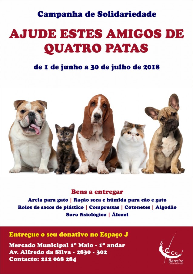 Barreiro - «“Ajude estes Amigos de Quatro Patas» Campanha de Solidariedade