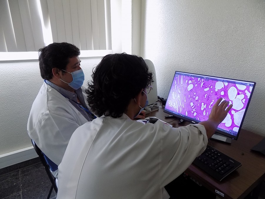 Centro Hospitalar Barreiro Montijo ANATOMIA PATOLÓGICA CONTA COM DOIS NOVOS EQUIPAMENTOS