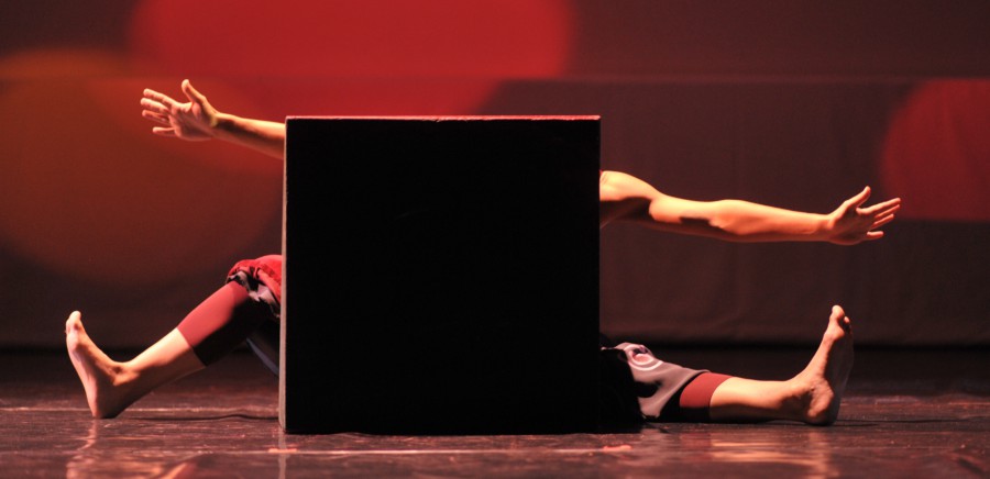 Mini Curso de Artes Circenses em Palmela Atividade destina-se a crianças com idades entre os 7 e os 11 anos