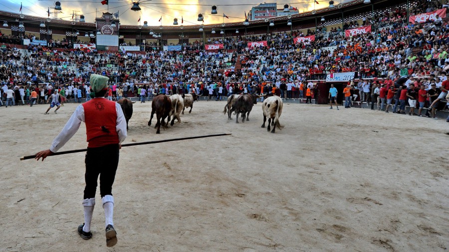 Tauromaquia Património Cultural de Portugal Em fase de conclusão trabalho exaustivo de recolha de documentação