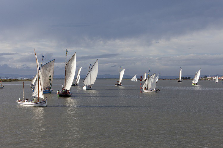 Regata/Cruzeiro Moita – Vila Franca de Xira - Moita Embarcações tradicionais do Tejo