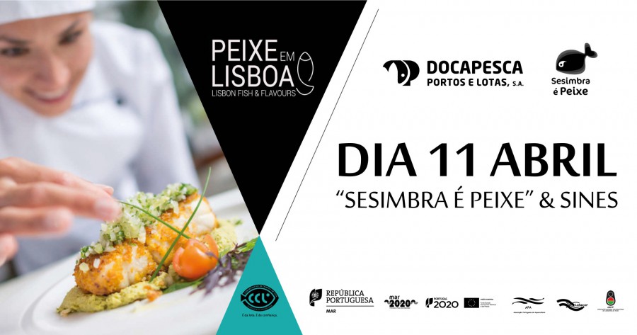 Pescado de Sesimbra e de Sines no «Peixe em Lisboa» Peixe-espada-preto e carapau em destaque na «Cozinha Docapesca»