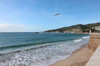 Comemorações do Dia Nacional do Mar no concelho de Sesimbra Lançamento do livro «A Viagem do Mexilhão da Arrábida» de Inês Gomes