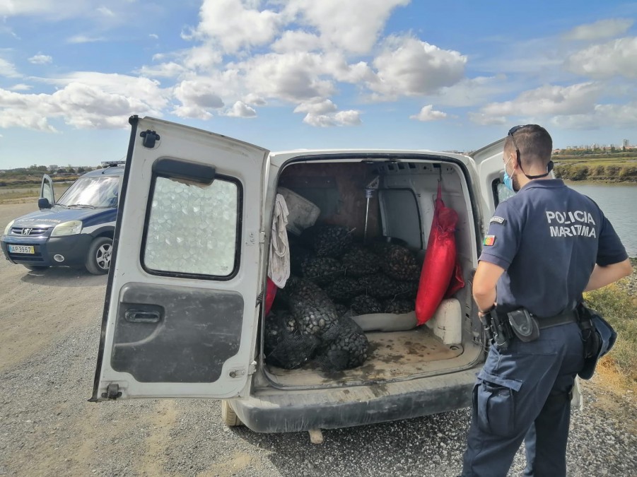Moita - Na zona ribeirinha de Alhos Vedros Polícia Marítima apreende cerca de 470kg de amêijoa-japonesa