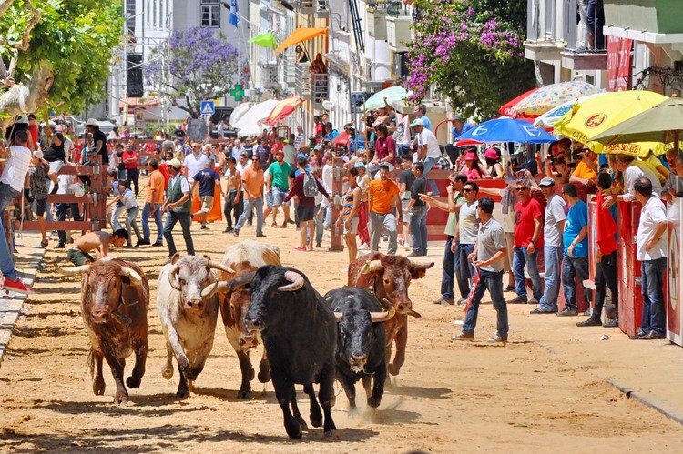 Posto de Turismo Municipal Mostra fotográfica «Festa Brava na Moita»