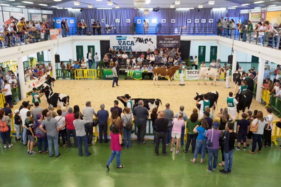 Moita - XIX Concurso da Vaca Frísia e uma novidade a 1ª Mostra Caprileite Feira de Maio no Pavilhão Municipal de Exposições . Feira da Vaca