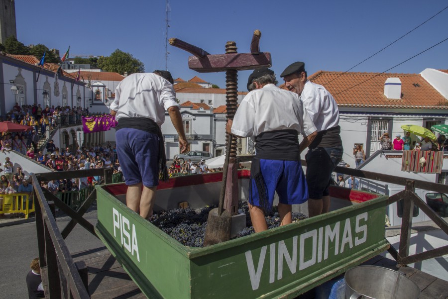 Programa Vindimas 2020 evoca festa emblemática de Palmela Com o mote «Por Amor a Palmela» celebra-se a essência destes festejos