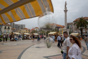 Mais de dez mil pessoas na Festa da Flor em Setúbal Ponto alto foi a construção do «Tapete em Arte Efémera»