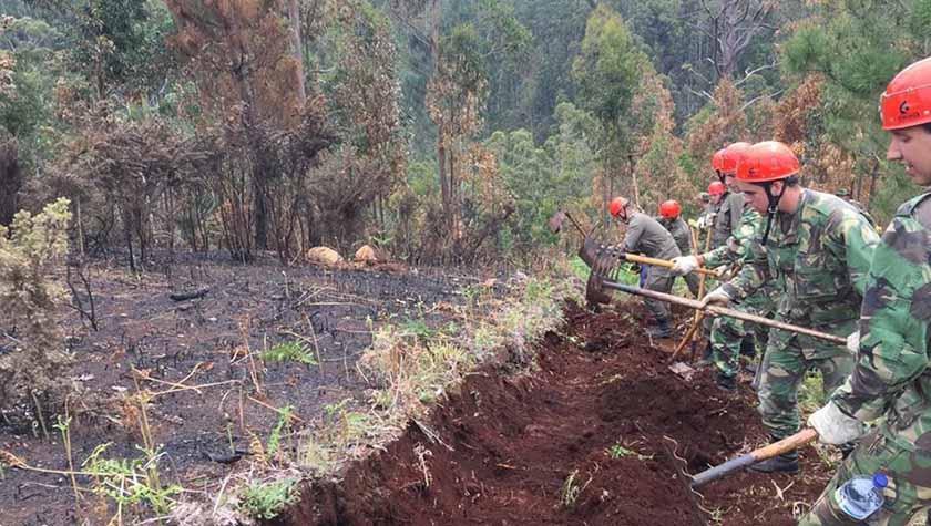 Militares em missão um pouco por todo o pais e no reforço no distrito de Setúbal. 434 militares no terreno a apoiar o combate aos incêndios