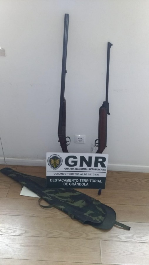 Alcácer do Sal Apreensão de armas em processo de violência doméstica