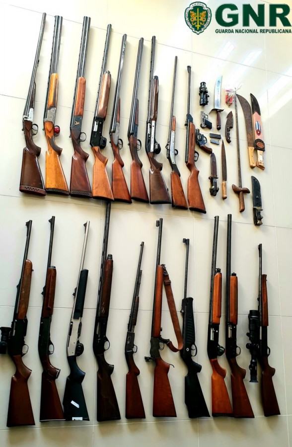 Seixal - Fernão Ferro Apreensão de armas por violência doméstica