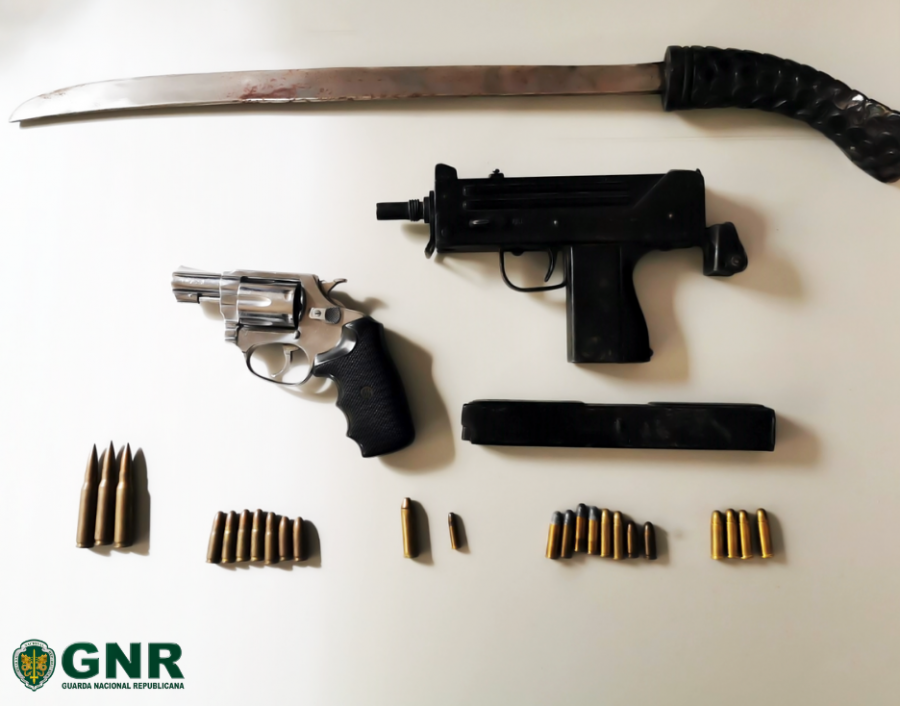 Moita - Alhos Vedros Apreensão de armas no âmbito de violência doméstica