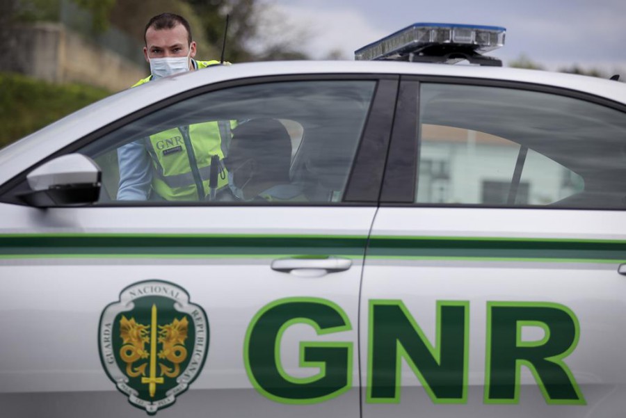 Grândola Seis detidos por furto de 10 toneladas de cortiça