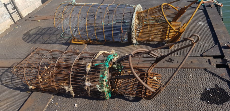 Polícia Marítima deteta atividades ilegais no rio Tejo