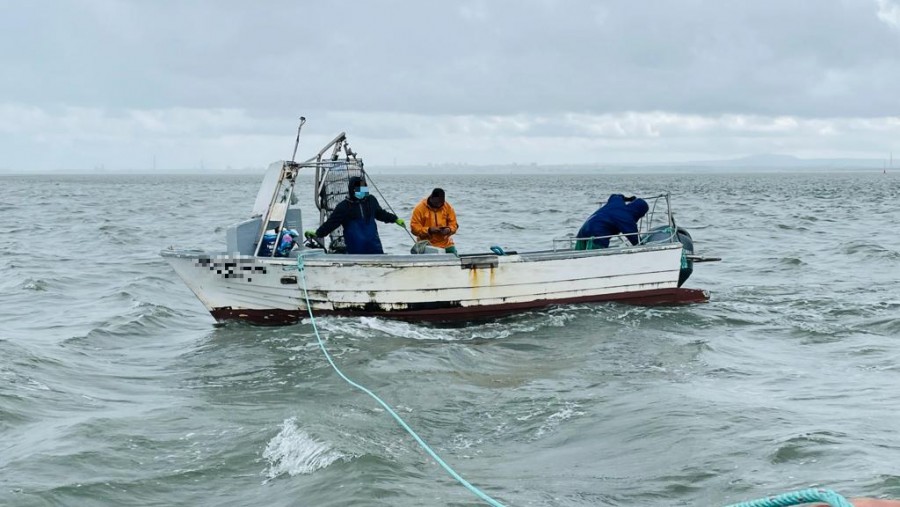 No canal do Barreiro no estuário do rio Tejo Polícia Marítima apreende cerca de 100kg de amêijoa-japónica e embarcação de pesca local