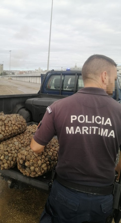 No rio Tejo em Almada Apreendidos cerca de 148kg de bivalves e uma embarcação