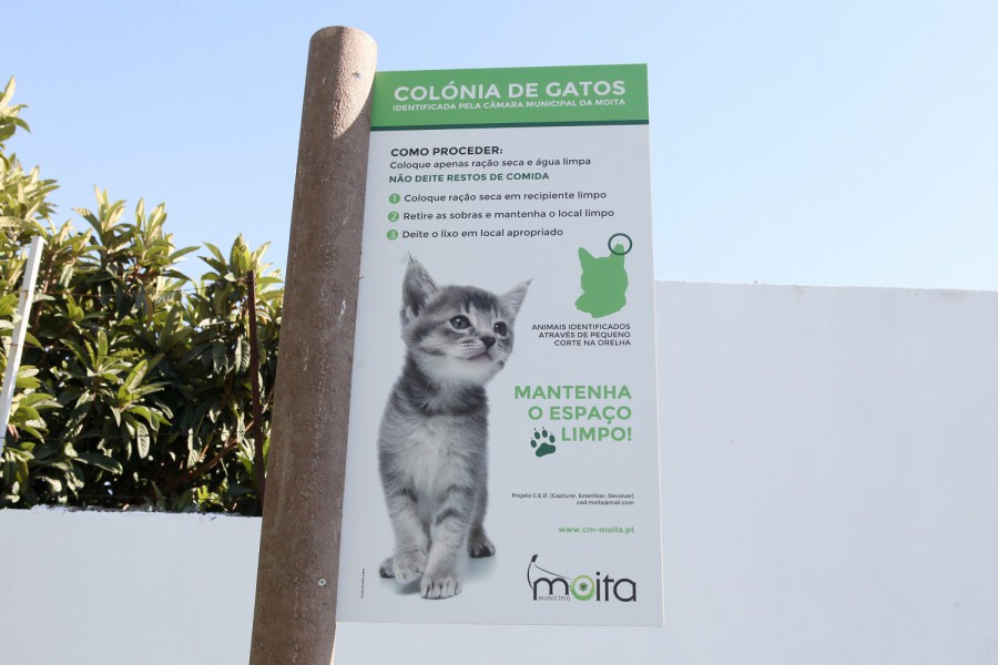 Projeto CED Captura, Esteriliza e Devolve Cerca de 290 esterilizações de gatos capturados em todo o concelho da Moita.