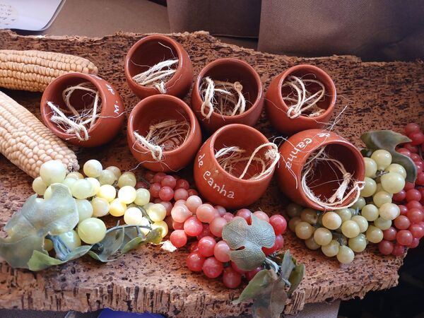 Montijo - Feira Medieval de Canha 2026 CIRCULODEMAJALIS agradece a todos os que tornaram possível