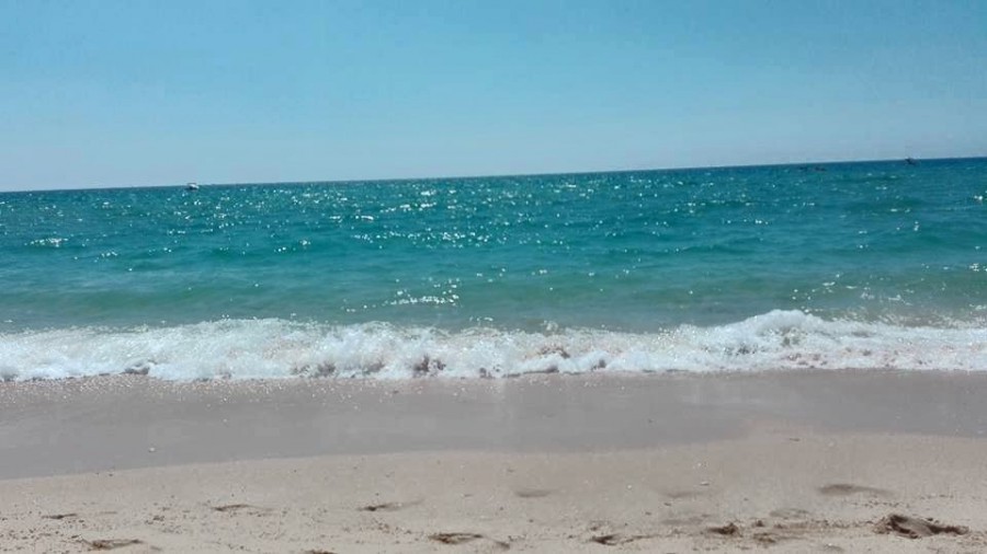 Sciaena apresenta Exposição Mar Motto 4 em Sesimbra