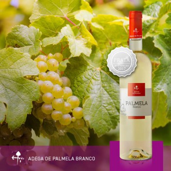 Adega de Palmela conquistou uma medalha de Prata Com o Vinho Adega de Palmela Branco 2016