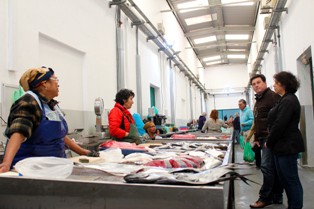 Processo de requalificação do Mercado da Lota em Setúbal Mercado Alternativo da Lota já abriu portas