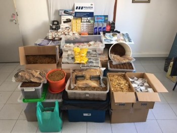 Brigada Criminal da Esquadra do Montijo Deteve indivíduo por transformação e venda de tabaco de forma ilegal.