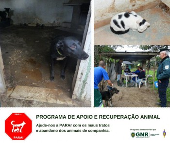 Na localidade da Broega, Moita Recuperação de 37 animais por maus tratos e abandono