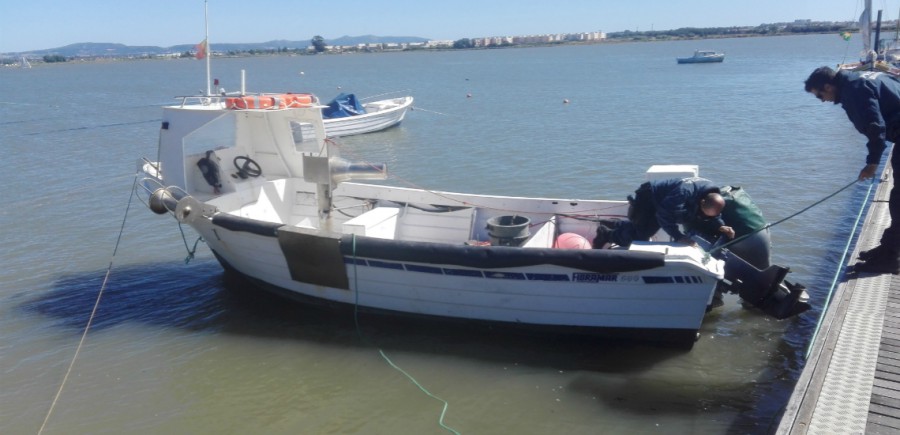 Polícia Marítima apreende embarcações e 100 Kg de pé-de-burro no rio Tejo ​Foram fiscalizadas 11 embarcações