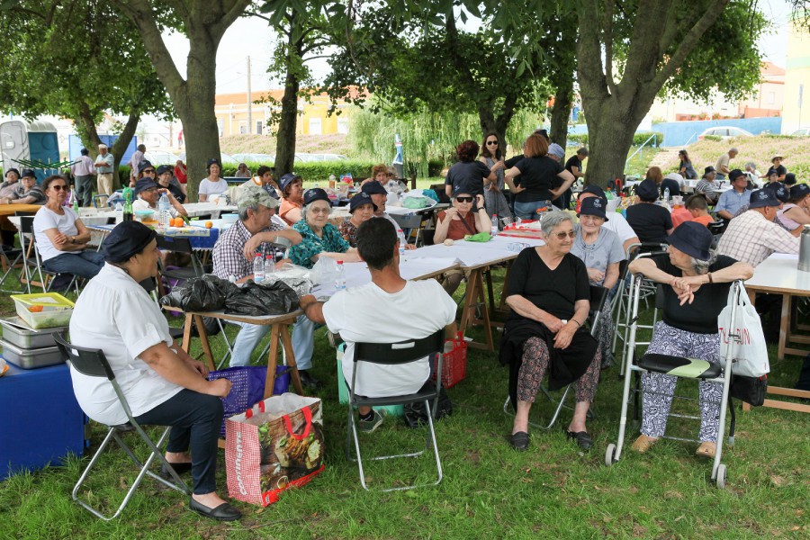Moita - Piquenique Intergeracional no Parque das Canoas Projeto (Con)Vivencial(I)dades