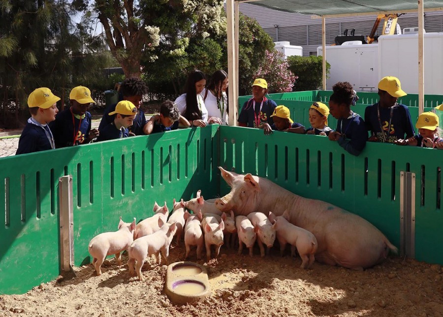 No Parque de Exposições Acácio Dores 27ª Feira Nacional do Porco Montijo . 1, 2 e 3 de outubro