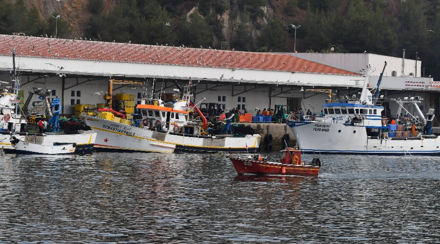 Plano de Recuperação e Resiliência – Medida Pescas Sesimbra recebe cerimónia de apresentação dos resultado