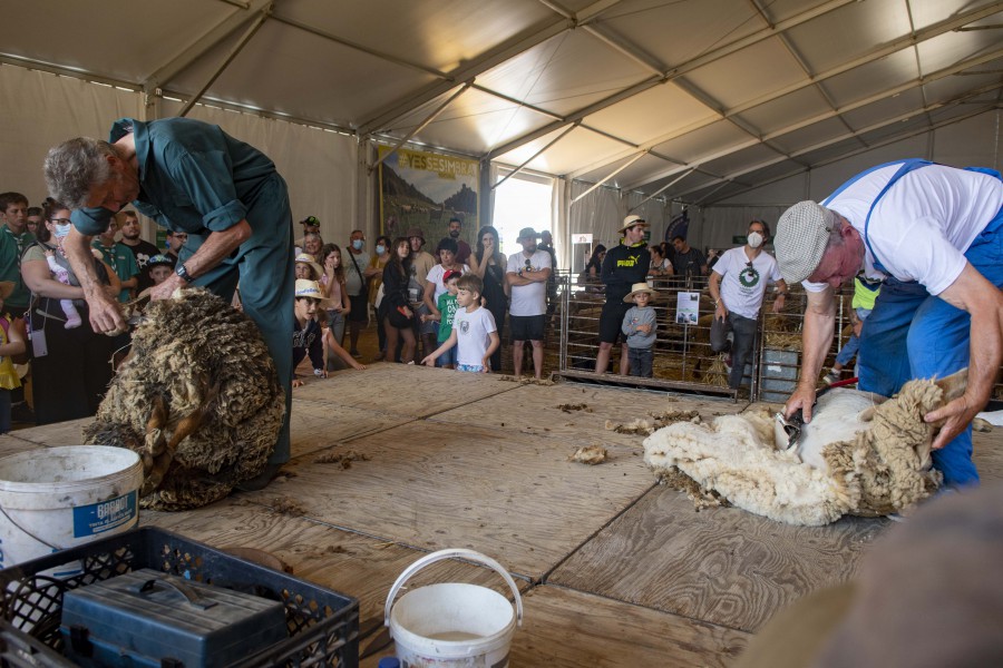 SESIMBRA - Moagem de Sampaio vai transformar-se numa quinta agrícola Valorizar atividades ligadas à ruralidade do concelho e do Território da Arrábida.
