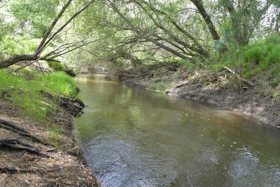 Cidadania Ativa na Valorização dos Ecossistemas do Montijo Dia Internacional da Biodiversidade