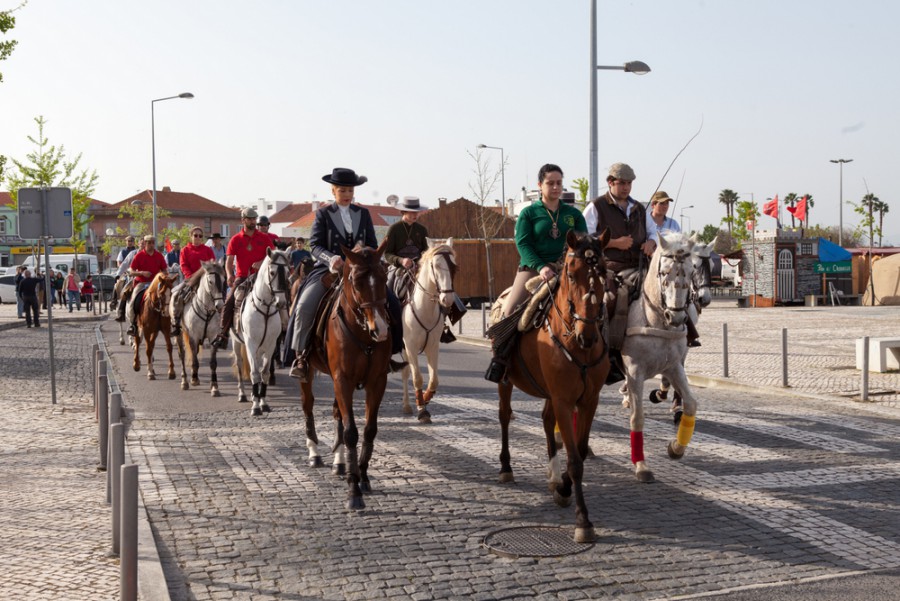 Romaria a Cavalo Moita - Viana do Alentejo já partiu rumo a Viana do Alentejo Mais de 300 cavalos e centenas de romeiros de vários pontos do país e do estrangeiro