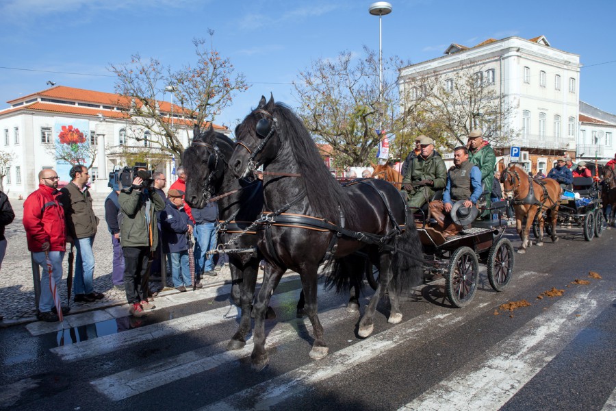Num percurso de cerca de 150 quilómetros pela antiga canada real Romeiros transportam Nª Srª. da Boa Viagem da Moita a Viana do Alentejo . Mais de 400 cavalos e centenas de romeiros