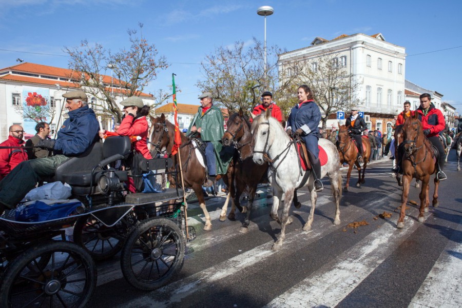 Romaria a Cavalo Moita – Viana do Alentejo Centenas de romeiros prontos para uma viagem de 150 quilómetros