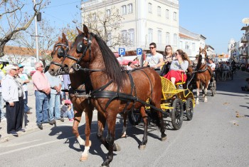 Romaria a Cavalo Moita - Viana do Alentejo na 17ª edição Percurso de cerca de 150 quilómetros é feito pela antiga Canada Real