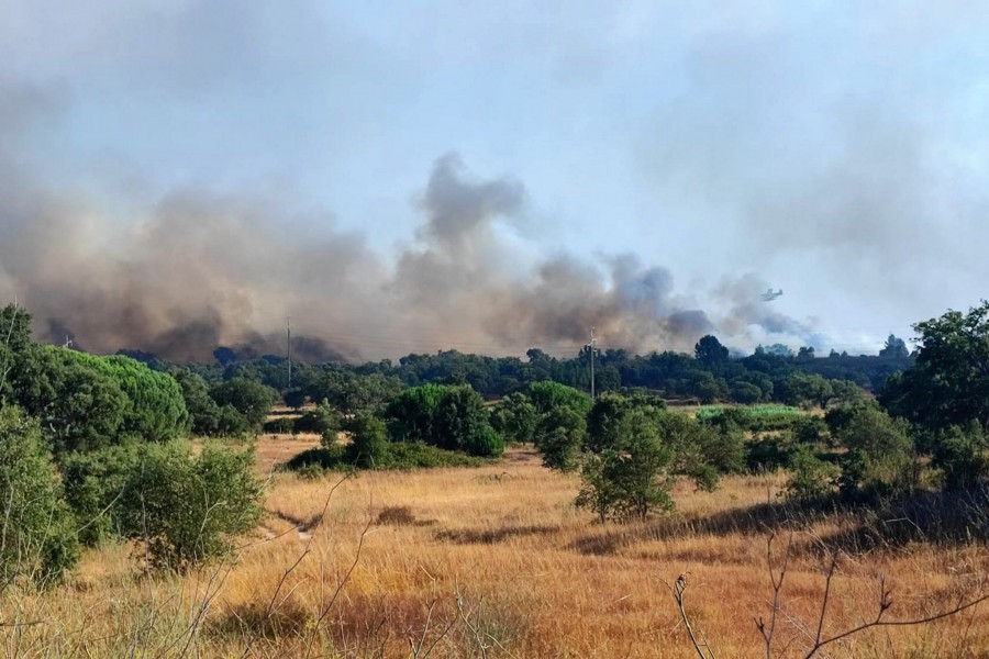 Serviços Municipalizados de Setúbal Estão a compensar munícipes que disponibilizaram água no combate ao incêndio na freguesia do Sado
