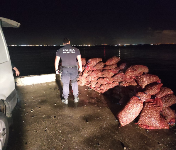 No estuário do rio Tejo na zona do Samouco - Alcochete Polícia Marítima apreende 2400kg de amêijoa japónica