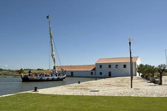 Entre os dias 21 e 25 deste mês Seixal convida a navegar a bordo de uma embarcação tradicional do Tejo