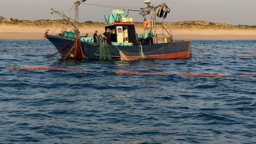 Polícia Marítima realiza ação de fiscalização na região de Setúbal Resultando na apreensão de 2500 kg de cavala