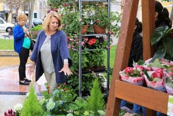 Festa da Flor anima a Praça do Bocage em Setúbal Um total de 25 expositores na primeira edição