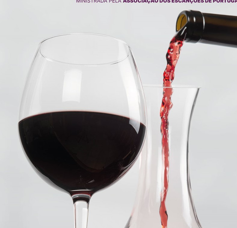 Palmela promove formação gratuita de Cartas de Vinhos Dirigida aos profissionais e empresários do setor da restauração do concelho