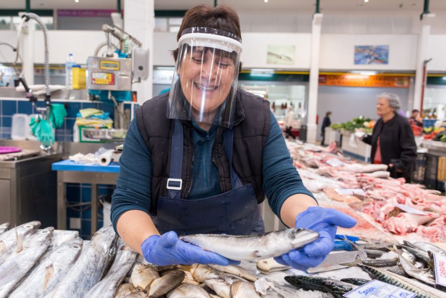 No auditório do Mercado do Livramento em Setúbal Apresentação de campanha de promoção do pescado fresco
