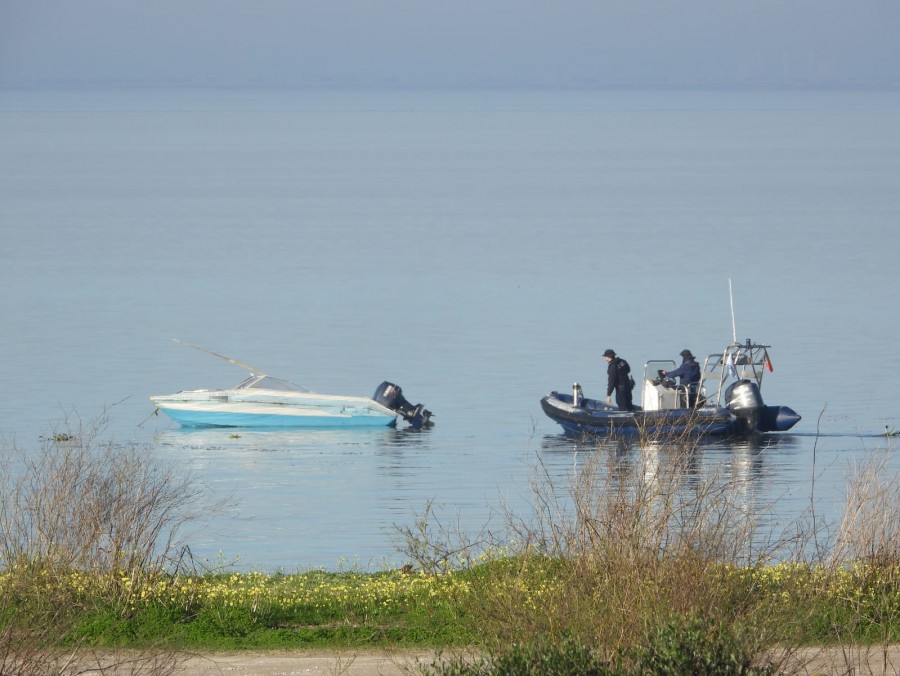 No rio Tejo em Alcochete Apreendidos 165kg de amêijoa japónica