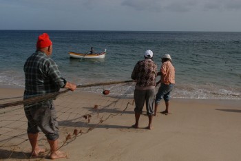 Pesca que se pratica há muitas décadas na Baía de Sesimbra Turistas vão poder participar na Arte Xávega